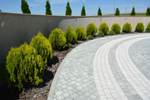Best Driveway Paving Contractor  in Lamar, SC