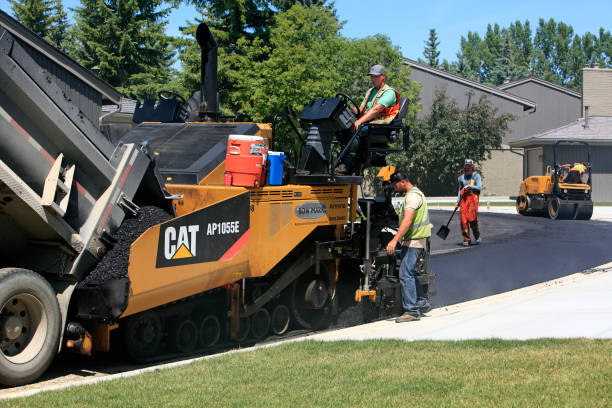 Best Best Driveway Pavers  in Lamar, SC